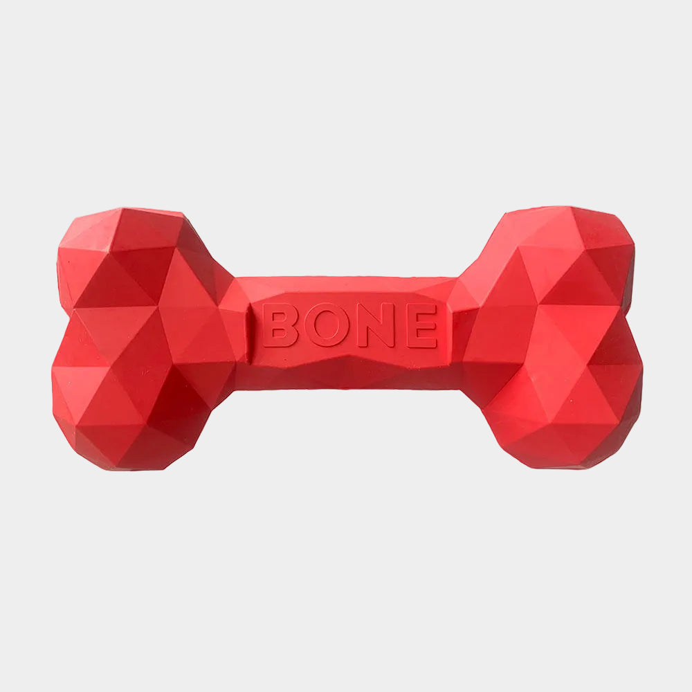 Durable Rubber Bone Dog Toy for Aggressive Chewers, Interactive Teething Chew Toy for Small Medium Breeds