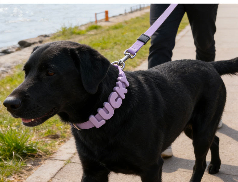Non-toxic Waterproof Adjustable Dog Collar with Cute Silicone Letters