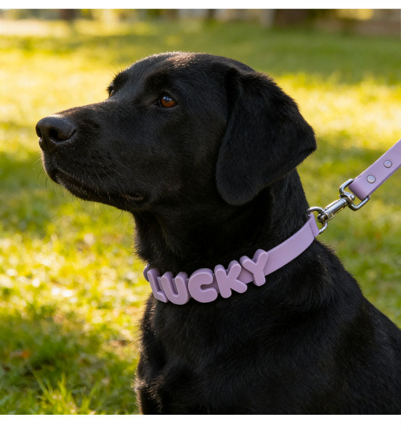 Non-toxic Waterproof Adjustable Dog Collar with Cute Silicone Letters