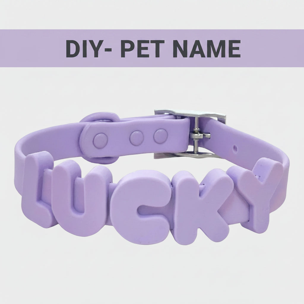 Non-toxic Waterproof Adjustable Dog Collar with Cute Silicone Letters