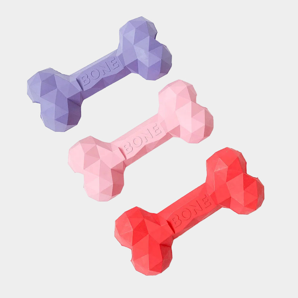Durable Rubber Bone Dog Toy for Aggressive Chewers, Interactive Teething Chew Toy for Small Medium Breeds