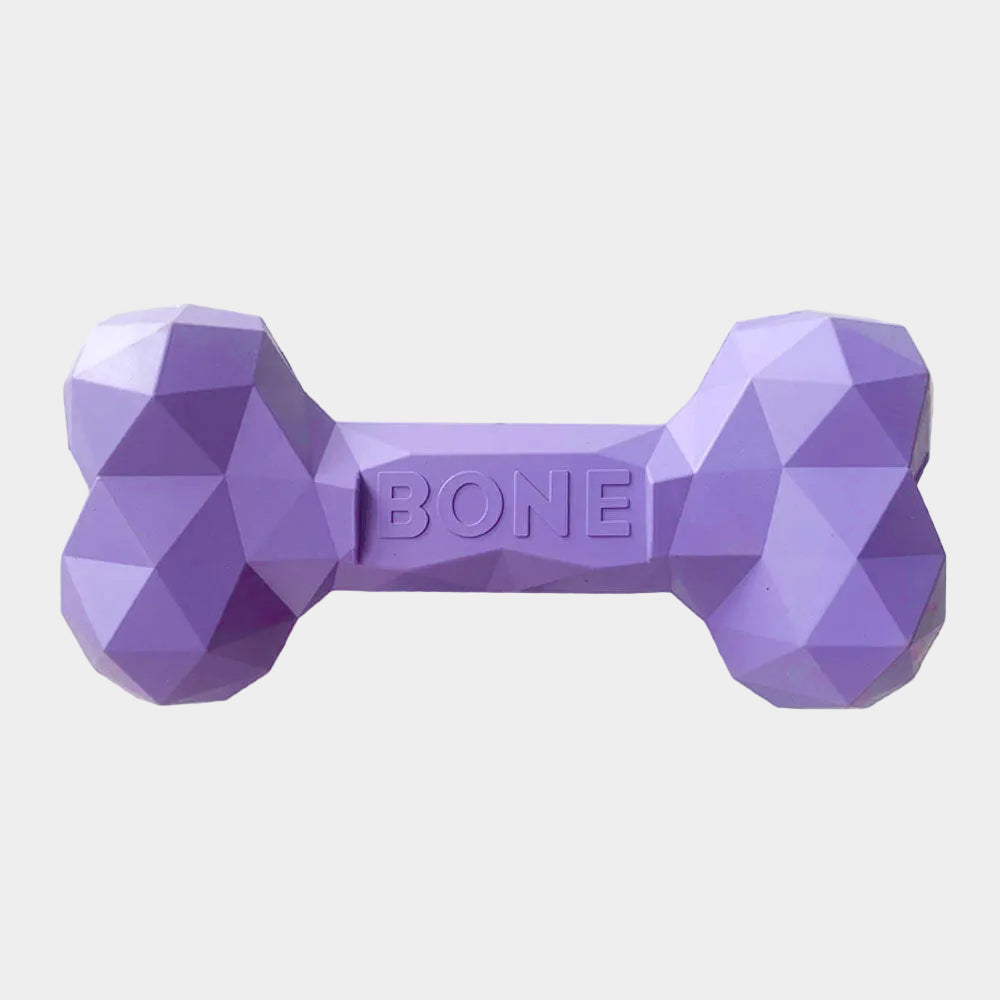 Durable Rubber Bone Dog Toy for Aggressive Chewers, Interactive Teething Chew Toy for Small Medium Breeds