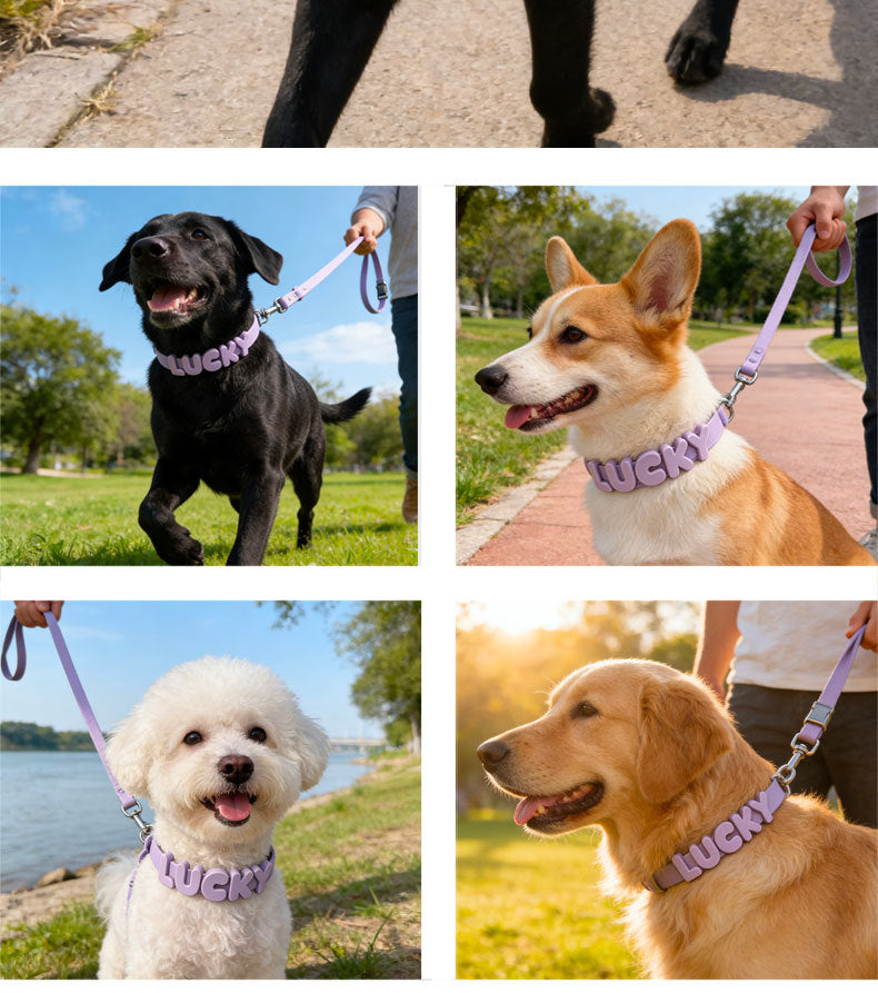 Non-toxic Waterproof Adjustable Dog Collar with Cute Silicone Letters