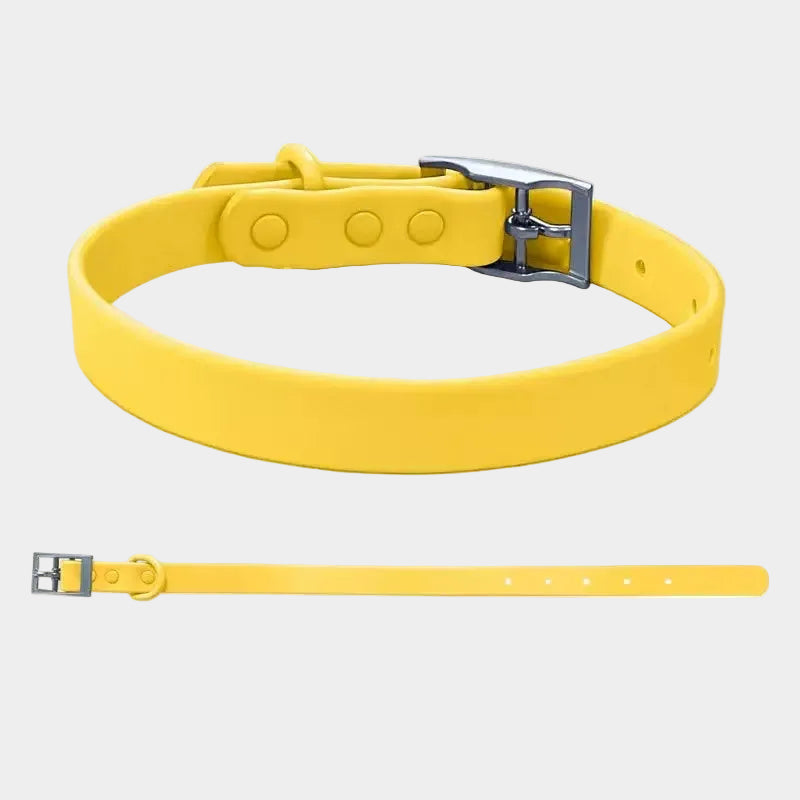 Non-toxic Waterproof Adjustable Dog Collar with Cute Silicone Letters
