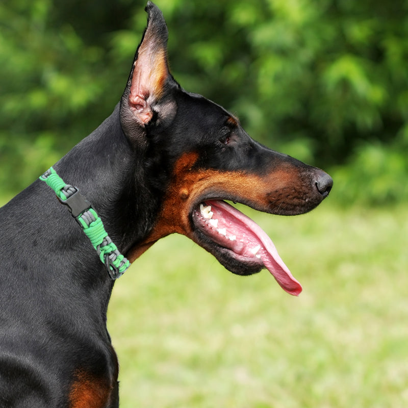 Handmade Weaved Pet Collar