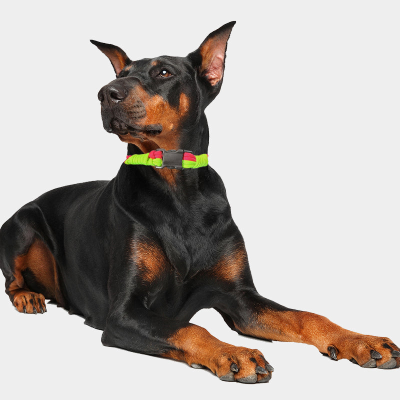 High Quality Handmade Dog Collar