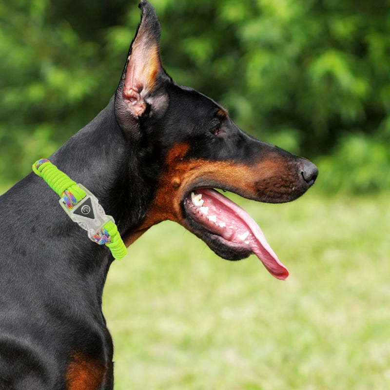 High Quality LED Handmade Woven Dog Collar